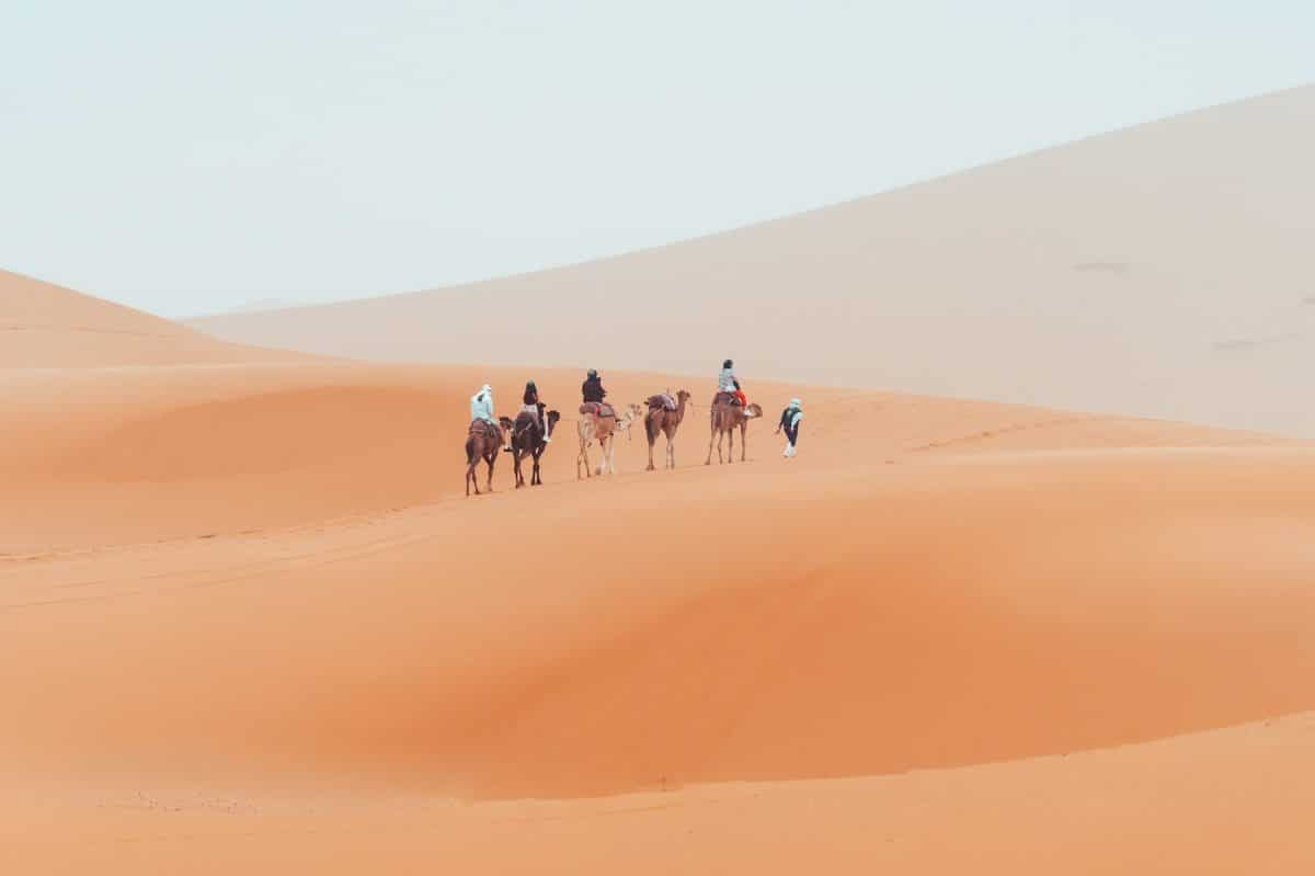arabia maroc