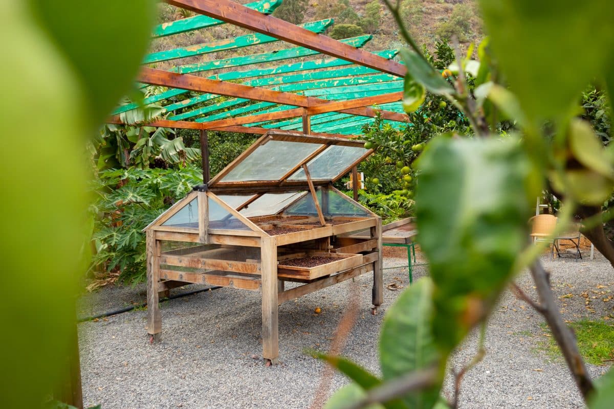 caisse alimentaire